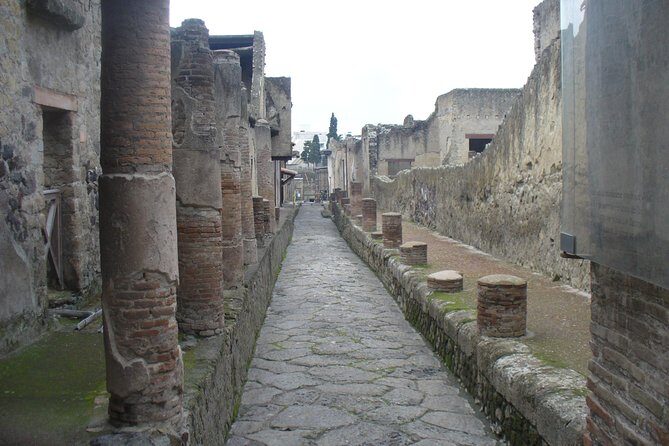 Tour of the Ruins: Hercolaneum, Oplontis, Pompeii (Full-Day 8h) - An In-Depth Look at the Tour Experience