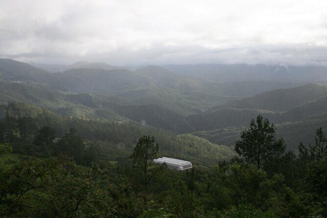 Tour of the Sierra Juárez, Ixtlán, Guelatao and Capulálpam - FAQ