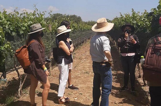 Tour of the Tradition and History of Cheese and Wine in Querétaro - FAQs