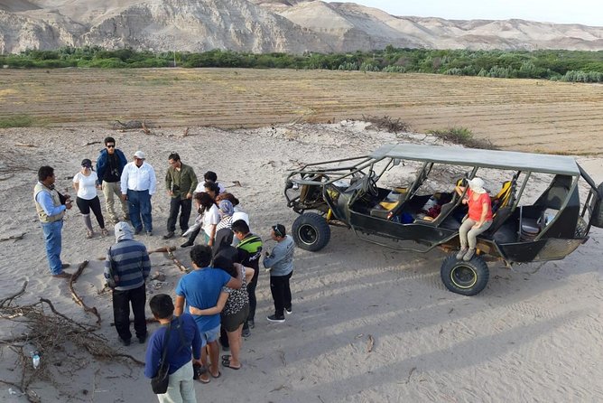 Tour Operators in Nasca in Buggy Archeology and Adventure - Included Amenities