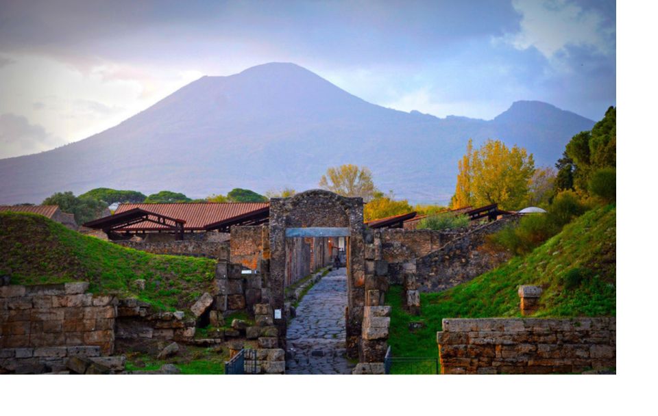 Tour Pompeii and Vesuvius Winery Experience From Naples - Key Points