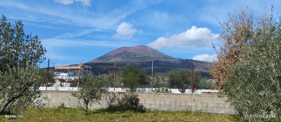 Tour Pompeii and Vesuvius Winery Experience From Naples - Booking and Cancellation
