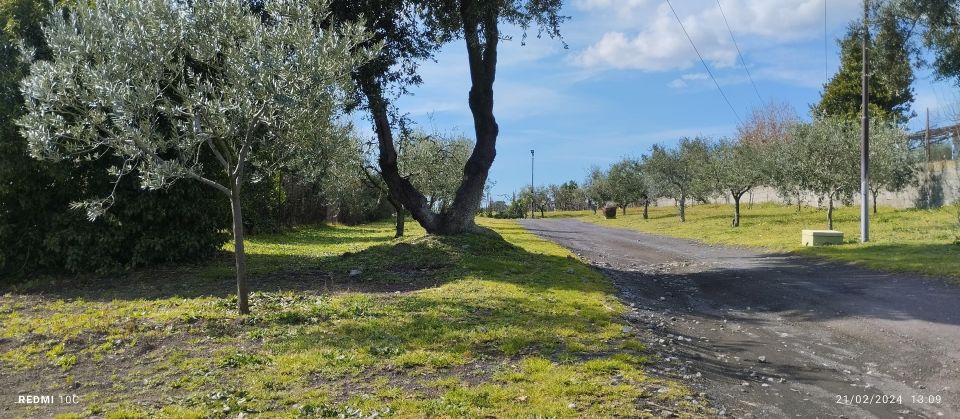Tour Pompeii and Vesuvius Winery Experience From Naples - Frequently Asked Questions
