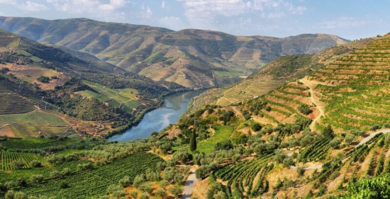 Tour Porto Douro Valley | The richness of Wine | ALL INCLUD. - FAQs