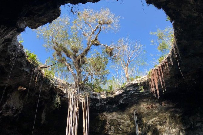 Tour Santa Bárbara Cenotes - Tour Experience