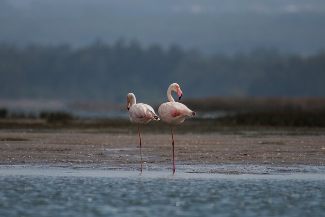 Tour Stand Up Paddle - Booking Information
