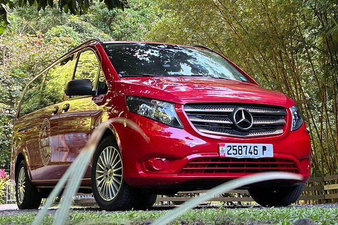 Tour Tahiti in Private - Key Points