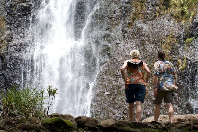 Tour Tahiti in Private - An Overview of the Experience