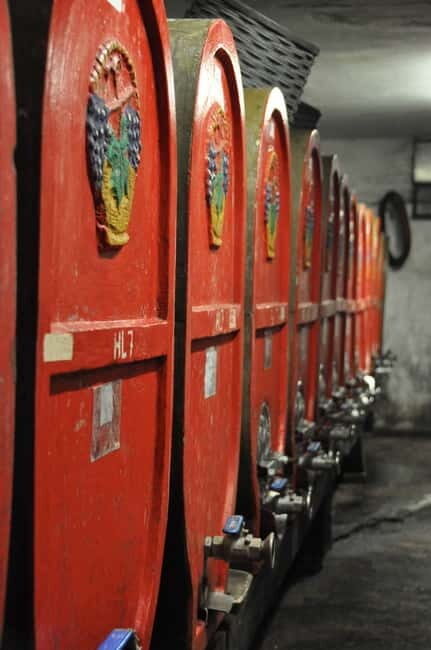 Tour & tasting at Tenuta la Viola - An In-Depth Look at the Tour & Tasting at Tenuta la Viola