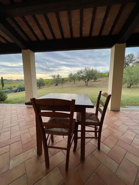 Tour & tasting at Tenuta la Viola - What Makes This Tour Stand Out?