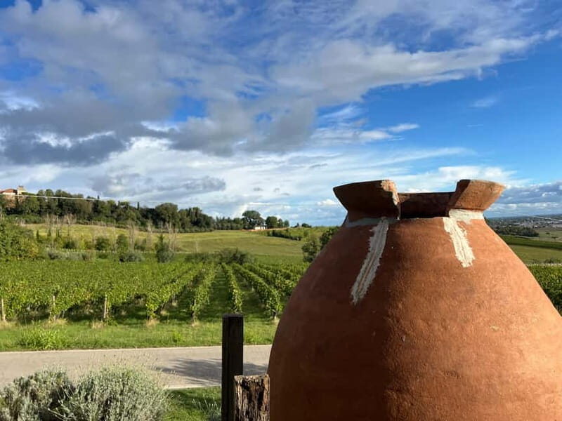 Tour & tasting at Tenuta la Viola - Final Thoughts: Who Will Love This Experience?