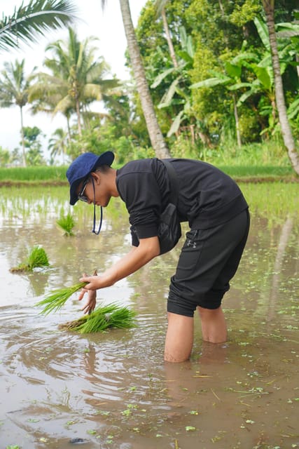 Tour Tete Batu : Culture, Rice Terrace & Waterfalls - Frequently Asked Questions