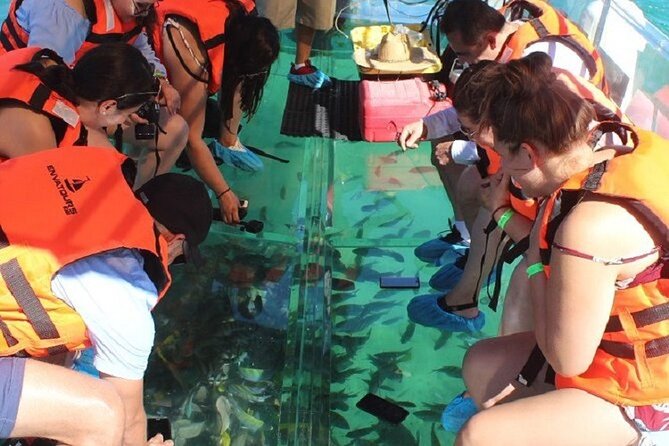 Tour the Arch, Lands End and More in Cabos Original Clear Boat - Amenities and Accessibility
