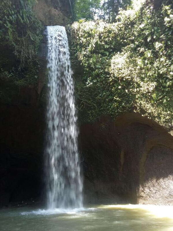Tour the island of Bali with expert tour guides in Spanish. - Who Will Love This Tour?