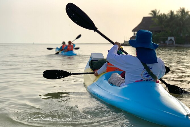 Tour the Mangroves in Kayak by Isla Holbox - Frequently Asked Questions
