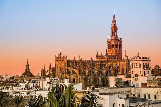 Tour Through the Iberian Ham Drying Room and Seville - Pick up at the Hotel - Tour Highlights