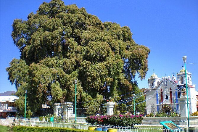 Tour to artisan towns of Oaxaca - Practical Tips for Travelers