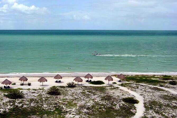 Tour to Celestun and see the flamingos - Exploring Celestún: What to Expect