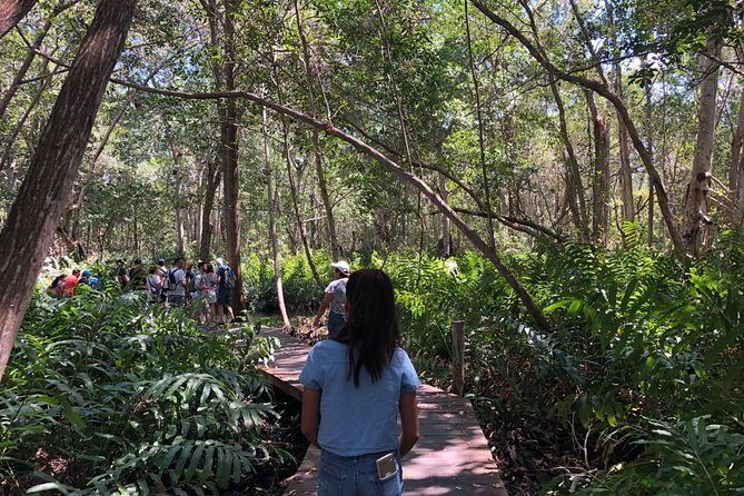 Tour to Celestún - What to Expect on the Tour  