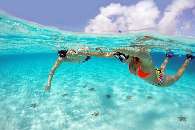 Tour to Cozumel by Catamaran with Snorkeling and Buffet Lunch - Analyzing the Value