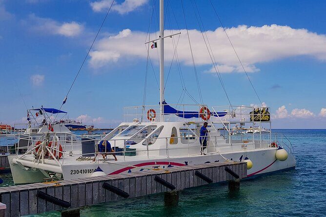Tour to Cozumel by Catamaran with Snorkeling and Buffet Lunch - Who Will Enjoy This Tour?