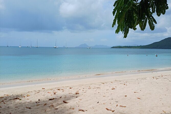 Tour to discover the paradisiacal beaches of the South (Salines) - FAQ