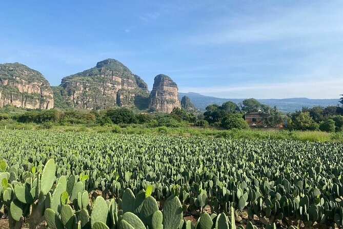 Tour to Discover Tlayacapan, the other side of Tepozteco - Touring Tlayacapan’s Chapels
