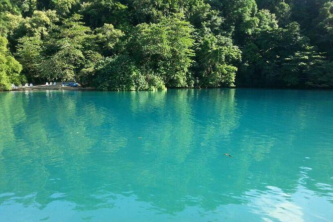 Tour to Fern Gully and Konoko Falls and Park - An In-Depth Look at the Tour Experience