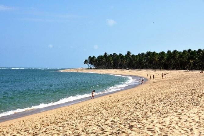 Tour to GUNGA BEACH + BARRA DE SÃO MIGUEL - Transportation Details