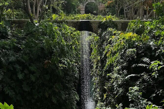 Tour to Hacienda Mucuyché, 2 cenotes & Oxkintok from Merida - An in-depth look at the tour experience