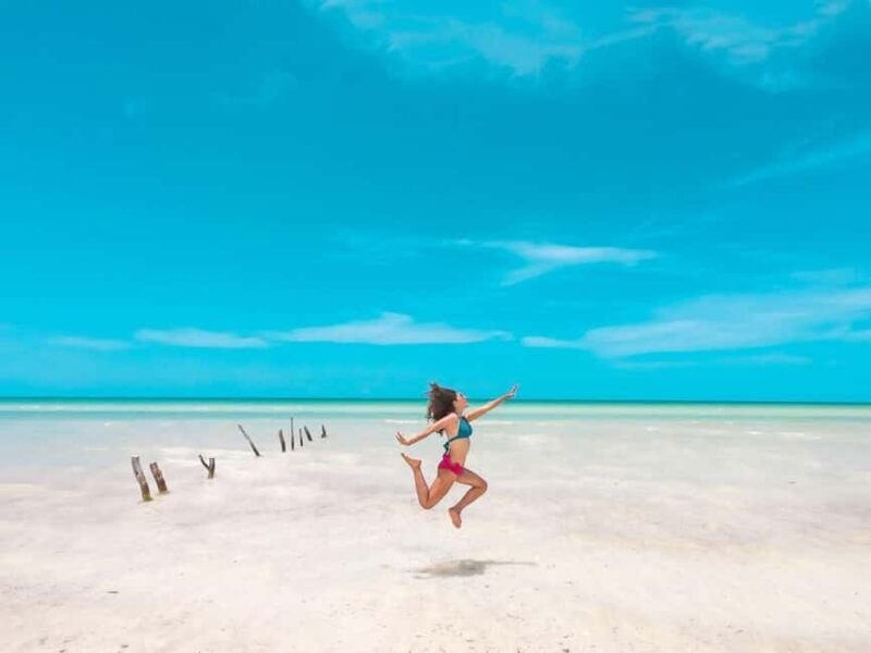 Tour to Holbox with food and transportation from Cancun, Playa del Carmen, and Tulum - Key Points