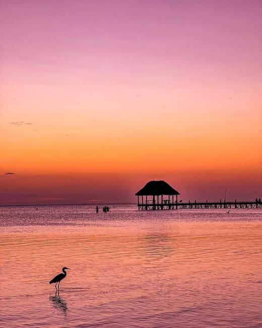 Tour to Holbox with food and transportation from Cancun, Playa del Carmen, and Tulum - Yalahau Waterhole: A Refreshing Retreat