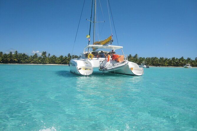 Tour to Isla Saona From Punta Cana with Transportation and Lunch - The Itinerary in Detail
