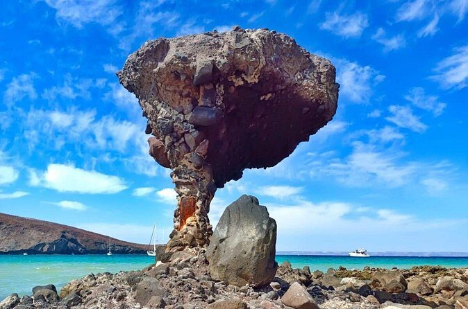 Tour to La Paz Playa Balandra Malecón and Todos Santos - Who Should Consider This Tour?