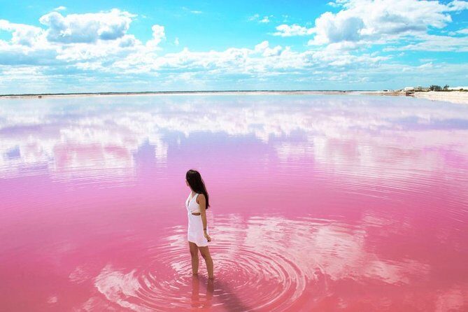 Tour to Las Coloradas Pink Waters and Boat Ride in Rio Lagartos with Lunch. - What to Expect from This Tour