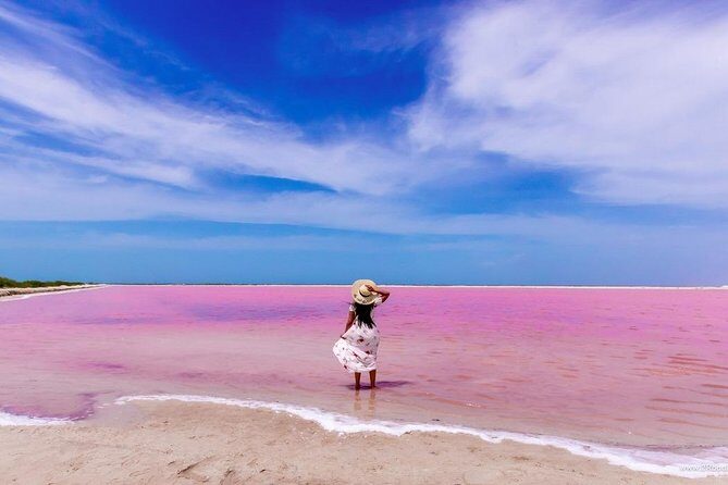 Tour to Las Coloradas Pink Waters and Boat Ride in Rio Lagartos with Lunch. - The Sum Up