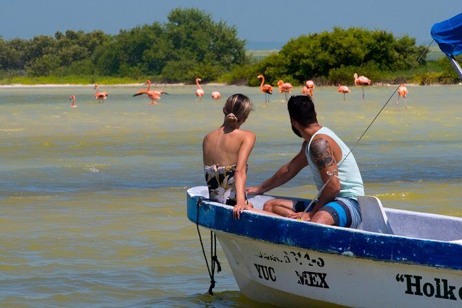 Tour to Las Coloradas Pink Waters and Boat Ride in Rio Lagartos with Lunch. - FAQ