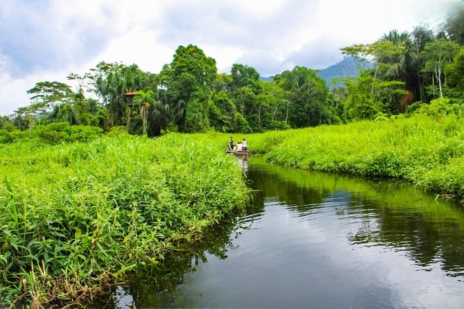 Tour to Manu Jungle 3 Days - About Your Stay