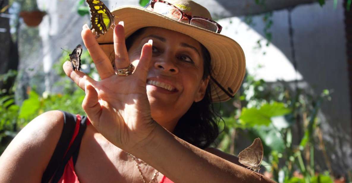 Tour to Morpho Butterfly House & Afternoon From Playa Mismaloya - Key Points