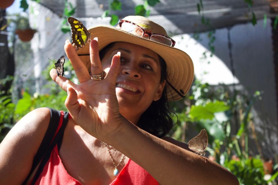 Tour to Morpho Butterfly House & Afternoon From Playa Mismaloya - Frequently Asked Questions