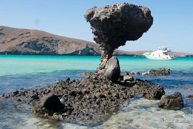 Tour to Playa La Paz from Cabo San Lucas - Exploring the Playa La Paz Tour from Cabo San Lucas