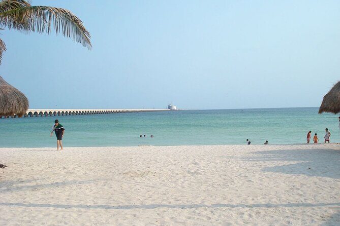 Tour to progreso, corchito and salt ponds - Authentic Experience and Value