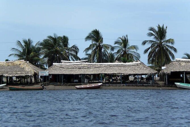 Tour to Puerto Arista and Boca del Cielo from San Cristobal - The Value of This Experience