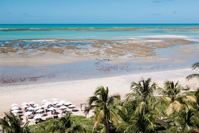 Tour to São Miguel Dos Milagres Beach With Departure From Maragogi - Additional Details