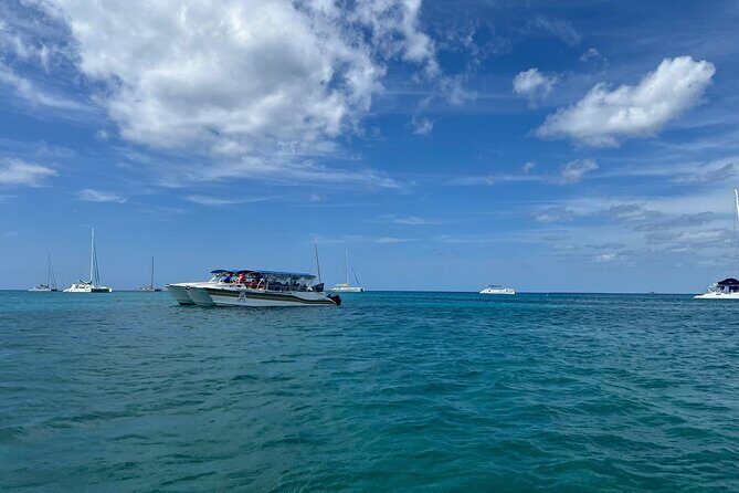 Tour to Saona Island with Lunch and Transportation - A Deep Dive into the Saona Island Tour