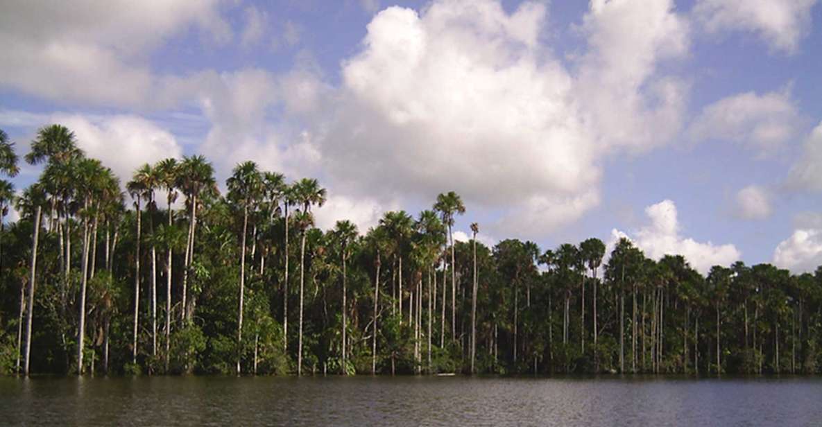Tour to Tambopata: Amazon Adventure 3d/2n - Itinerary