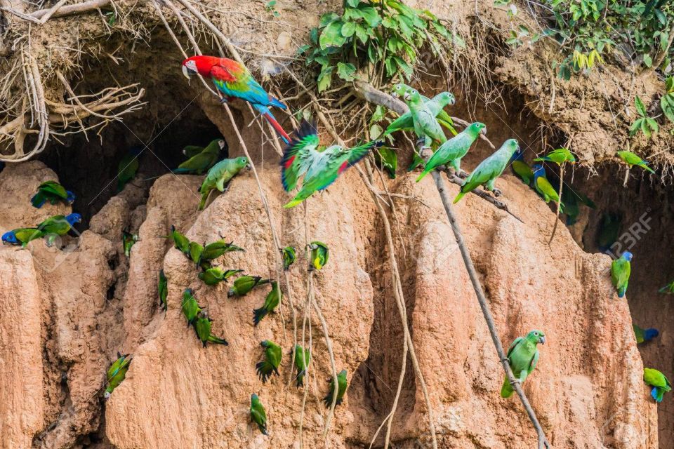 Tour to Tambopata: Amazon Adventure 3d/2n - Exclusions