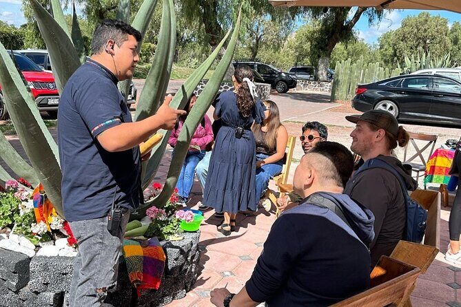 Tour to Teotihuacan Pyramids - Final Thoughts