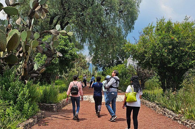 Tour to Teotihuacan the city of the gods - Authenticity and Experience