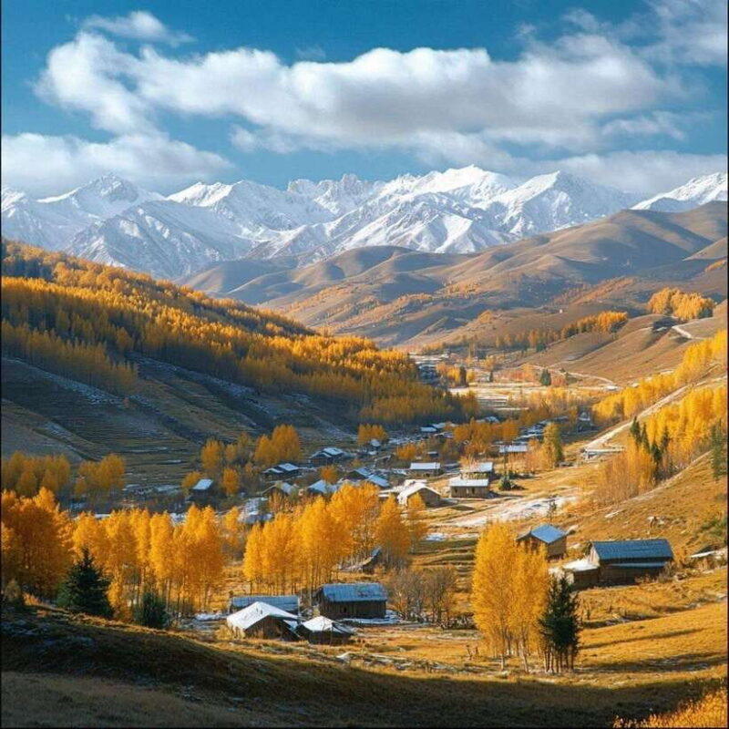 Tour to the Altai's Heavenly Land:Switzerland of the East - Exploring the Adventure: A Detailed Look at the Itinerary
